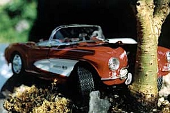 Xe hơi với nghệ thuật bonsai - 8