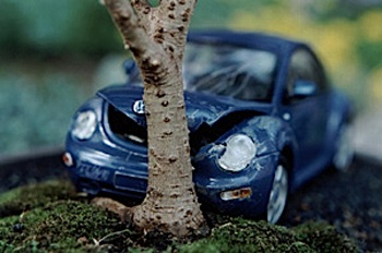 Xe hơi với nghệ thuật bonsai - 9