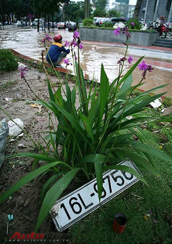 Xe hỏng đâu phải chỉ tại trời!  - 1