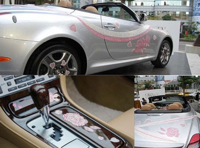 Điệu đà Lexus đính pha lê - 5