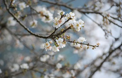 Đi offroad ăn cá tiến vua!  - 3