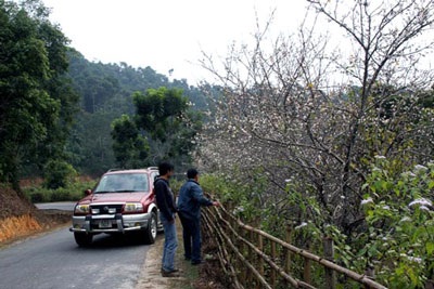 Đi offroad ăn cá tiến vua!  - 4