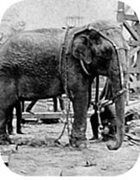 Những sự thật thú vị về nhà phát minh Edison (phần 2) - 6 Những sự thật thú vị về nhà phát minh Edison (phần 2) - 6