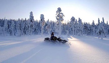 Những công dân hạnh phúc nhất thế giới - 5 Những công dân hạnh phúc nhất thế giới - 5