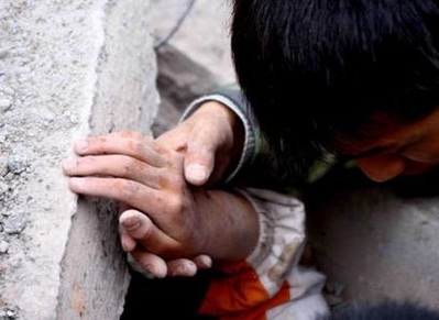 Chùm ảnh: Sự sống từ trong đống đổ nát - 1