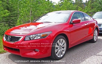 Thông tin và hình ảnh ban đầu về xe Honda Accord 2008 - 1