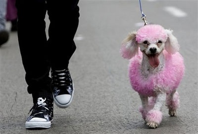 Rộn ràng ngày hội của dân đồng tính - 11 Rộn ràng ngày hội của dân đồng tính - 11