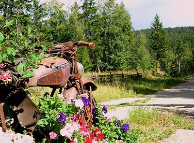 Khoảnh khắc Harley Davidson - 1