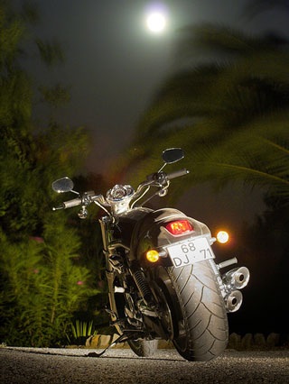 Khoảnh khắc Harley Davidson - 4