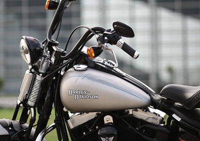 “Xế khủng” Hà thành: Harley Davidson Cross Bones  - 2