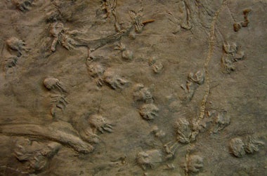 Chiêm ngưỡng 8 kỳ quan thiên nhiên thế giới mới - 5 Chiêm ngưỡng 8 kỳ quan thiên nhiên thế giới mới - 5