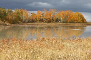 Chiêm ngưỡng 8 kỳ quan thiên nhiên thế giới mới - 6 Chiêm ngưỡng 8 kỳ quan thiên nhiên thế giới mới - 6