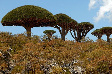 Chiêm ngưỡng 8 kỳ quan thiên nhiên thế giới mới - 7 Chiêm ngưỡng 8 kỳ quan thiên nhiên thế giới mới - 7