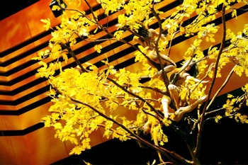 Khoảnh khắc lạ từ Triển lãm Frankfurt 2007 - 7