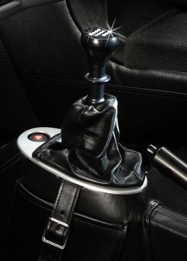 Lotus mừng sinh nhật bằng xe nạm kim cương… giả - 1