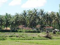 Hành trình trở lại bệnh xá Đặng Thùy Trâm - 3