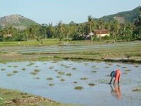 Hành trình trở lại bệnh xá Đặng Thùy Trâm - 2