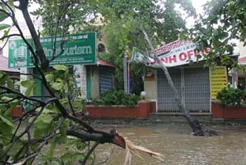 Chùm ảnh: Huế giữa mênh mông nước - 5