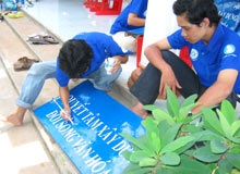 Đôi điều với Mùa hè xanh 2006 - 1 Đôi điều với Mùa hè xanh 2006 - 1