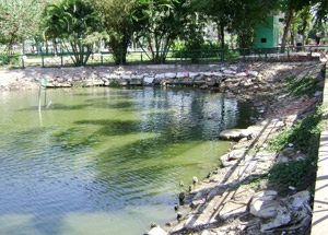 TPHCM: Nhếch nhác “phố Tây” - 8 TPHCM: Nhếch nhác “phố Tây” - 8