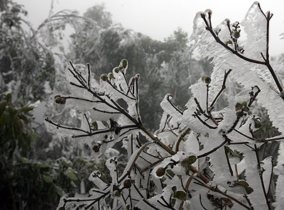 Xem băng tuyết ở Mẫu Sơn - 6 Xem băng tuyết ở Mẫu Sơn - 6