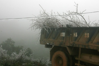 Xem băng tuyết ở Mẫu Sơn - 18 Xem băng tuyết ở Mẫu Sơn - 18