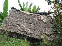 Gia cảnh khốn cùng của nạn nhân vụ tai biến vắc-xin - 1