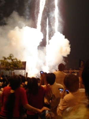 Hình ảnh lung linh đêm pháo hoa đất Tổ - 6