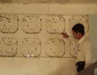 Phát lộ nhiều tượng bí ẩn trong biệt thự đá ở Đà Lạt - 1