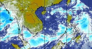 Báo động lũ trên các sông Nam bộ - 1