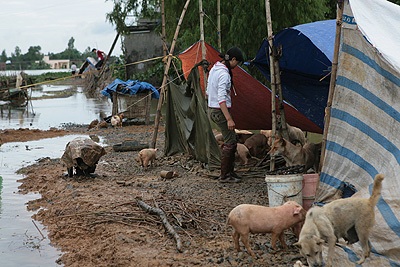 Hà Nội “mới” khốn cùng trong nước - 4