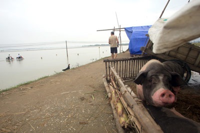 Phóng sự ảnh: 5 ngày ăn ngủ trên đê - 4