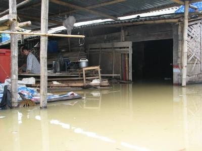 Nghệ An: Nhiều cái chết đau lòng vì mưa lũ  - 1