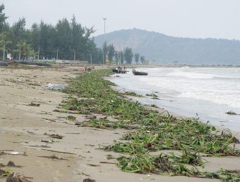 Nghệ An: Úng ngập dài ngày, dịch bệnh rình rập - 3