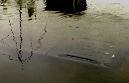 Nước rút, một xe Ford “trồi” nóc khỏi mương - 1 Nước rút, một xe Ford “trồi” nóc khỏi mương - 1