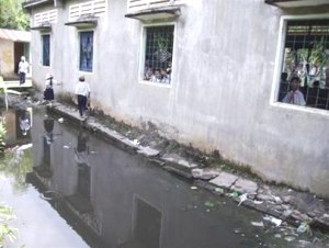 Phân heo tra tấn học sinh - 1