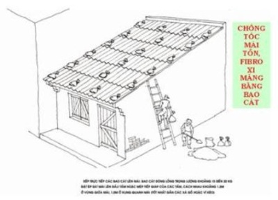 TPHCM hướng dẫn người dân đối phó với bão số 10 - 3
