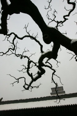 Trước Nhạn Tháp, Đường Tăng vẫn rảo bước - 3 Trước Nhạn Tháp, Đường Tăng vẫn rảo bước - 3