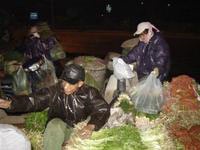 Mưu sinh trong giá lạnh - 1