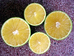 Mít ruột đỏ, ổi không hạt  - 2