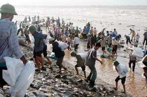 Chùm ảnh cứu hộ đê ở Nam Định - 3