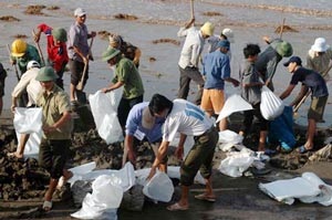 Chùm ảnh cứu hộ đê ở Nam Định - 4