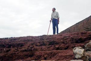 Chùm ảnh cứu hộ đê ở Nam Định - 5