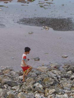 Chùm ảnh cứu hộ đê ở Nam Định - 7