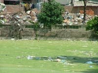 Cải tạo Hồ Văn: Từ bãi rác thành… bãi phế thải - 3