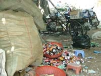 Cải tạo Hồ Văn: Từ bãi rác thành… bãi phế thải - 6