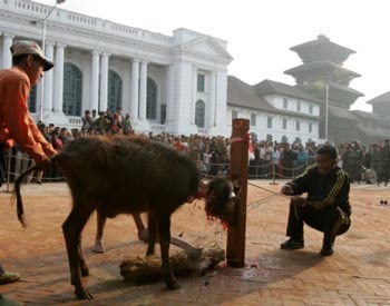 Lễ hiến máu - 2