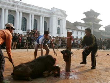 Lễ hiến máu - 3