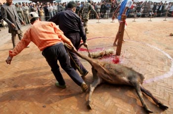 Lễ hiến máu - 5