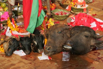 Lễ hiến máu - 6